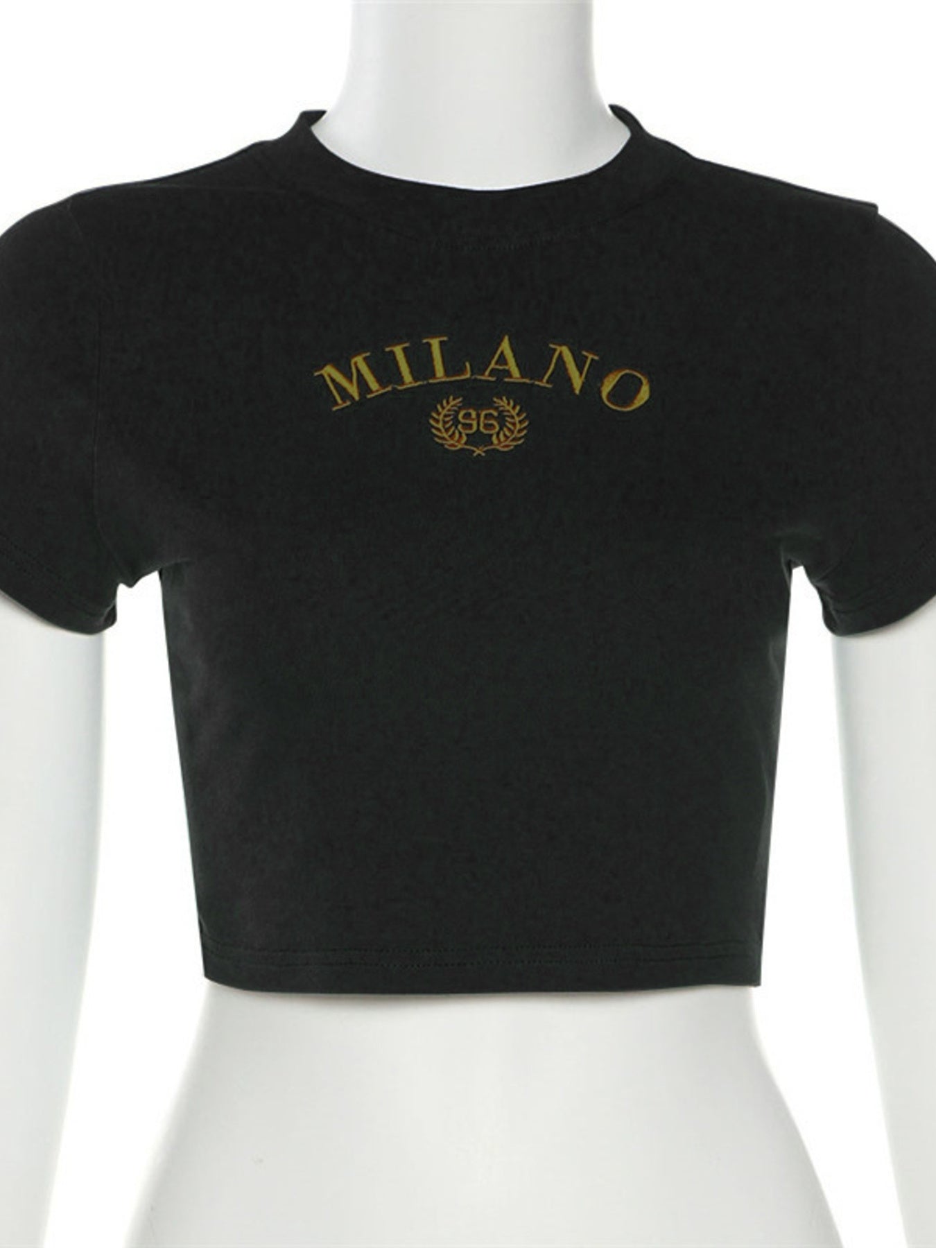 c7ced419e7d74d23a78dc11b5c8c03ec-Max